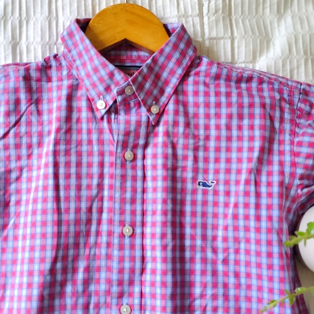 Vineyard vine